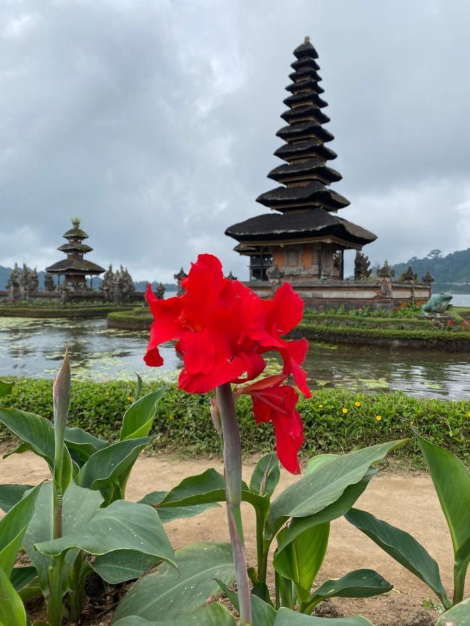 Wina Ubud B&B Exterior photo